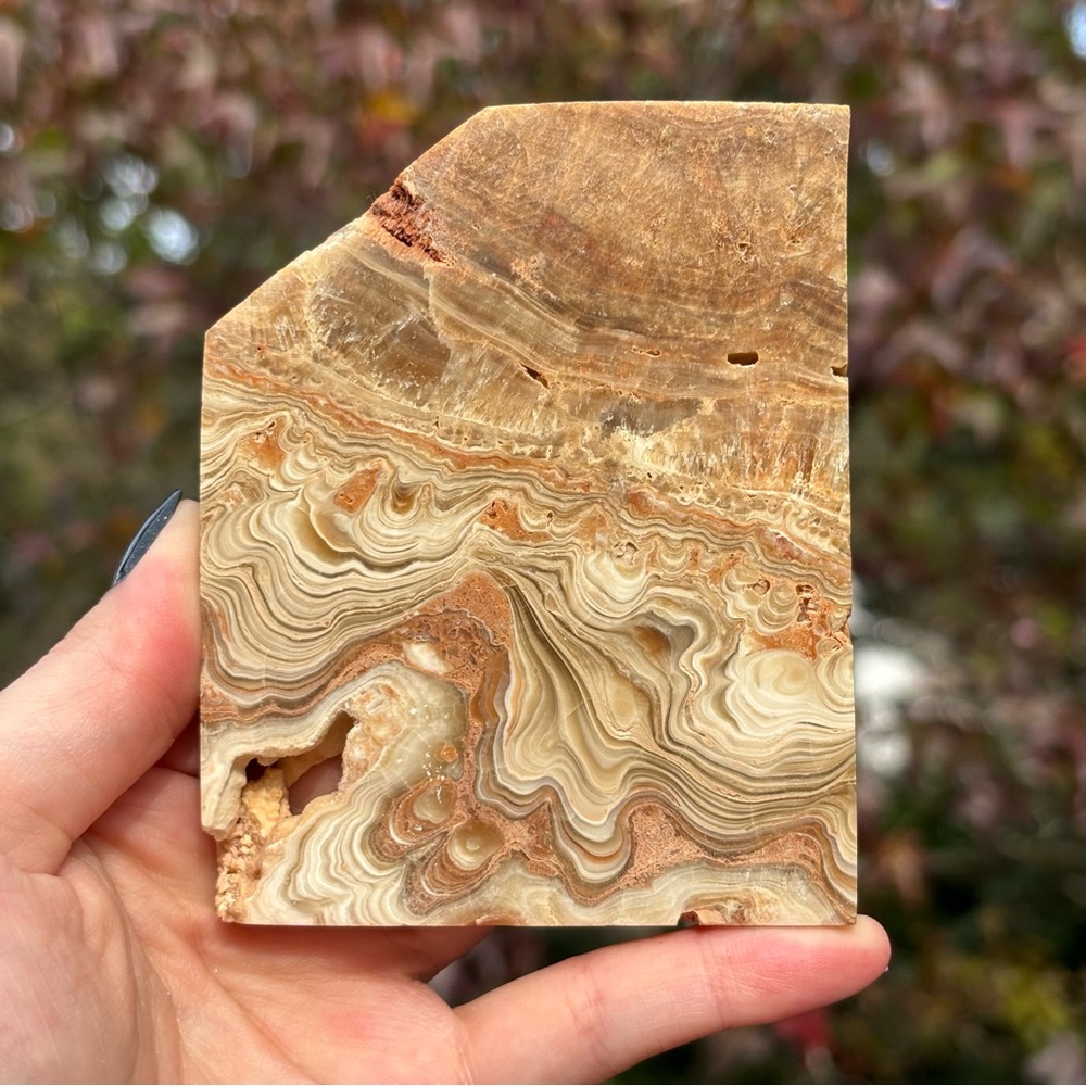 Chocolate Calcite Slab with Acrylic Stand